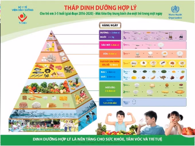 Sữa và sản phẩm từ sữa là một thực phẩm có mặt trong tháp dinh dưỡng hợp lý do Viện dinh dưỡng khuyến nghị