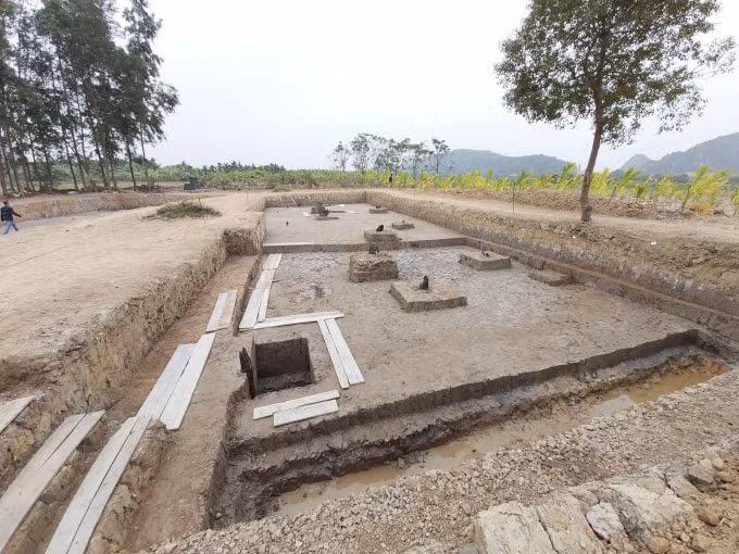 Di tích bãi cọc quý hàng ngàn năm tuổi ở cánh đồng Cao Quỳ, xã Liên Khê, huyện Thủy Nguyên, Hải Phòng.