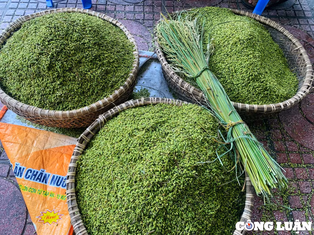 kham pha lang nghe lam com moc doc dao o ha noi hinh 1