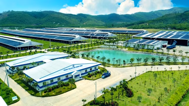 vinamilk la thuong hieu nganh thuc pham co gia tri nhat viet nam va la thuong hieu sua lon thu 6 the gioi hinh 5