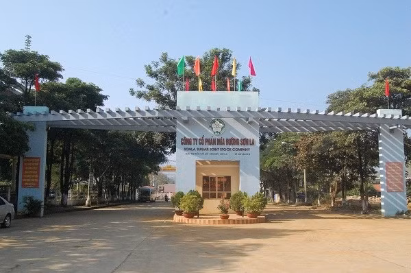mia duong son la sls loi nhuan quy 4 giam 18 chot tra co tuc bang tien mat ty le 100 hinh 1