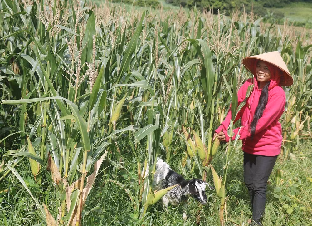vung dong bao dan toc thieu so binh thuan khoi sac nho cac chinh sach dac thu quan trong hinh 3