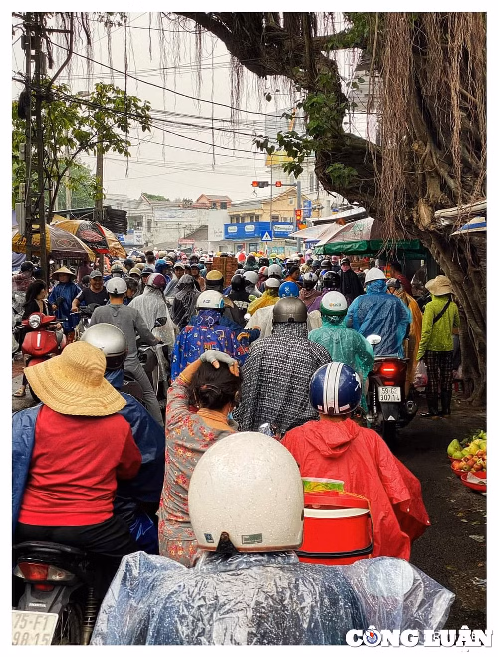 thua thien hue dong cua cho cam nguoi dan ra duong sau 21h de tranh bao so 4 hinh 1