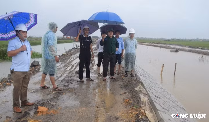 thua thien hue dung cac buoi hoi hop khong cap bach de ung pho voi sieu bao so 4 hinh 2