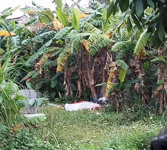 phat hien thi the cu ba 95 tuoi bi chon duoi bui chuoi trong vuon nha con trai hinh 1
