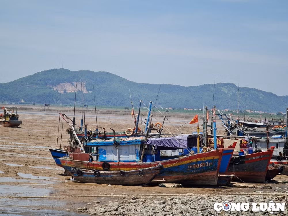 thanh hoa dinh hoan cac cuoc hop khong thuc su cap bach de ung pho bao lu hinh 1