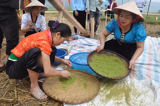 tung bung le hoi com tu le va le hoi ton vinh cay che shan tuyet co thu suoi giang hinh 2