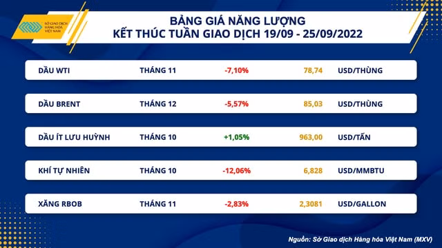hang loat quoc gia dieu chinh lai suat gia dau the gioi giam cam dau thap nhat 8 thang hinh 2