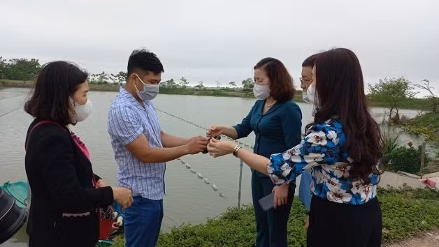 tp ha tinh 9 thang dau nam kinh te xa hoi dat duoc nhieu ket qua noi bat hinh 3