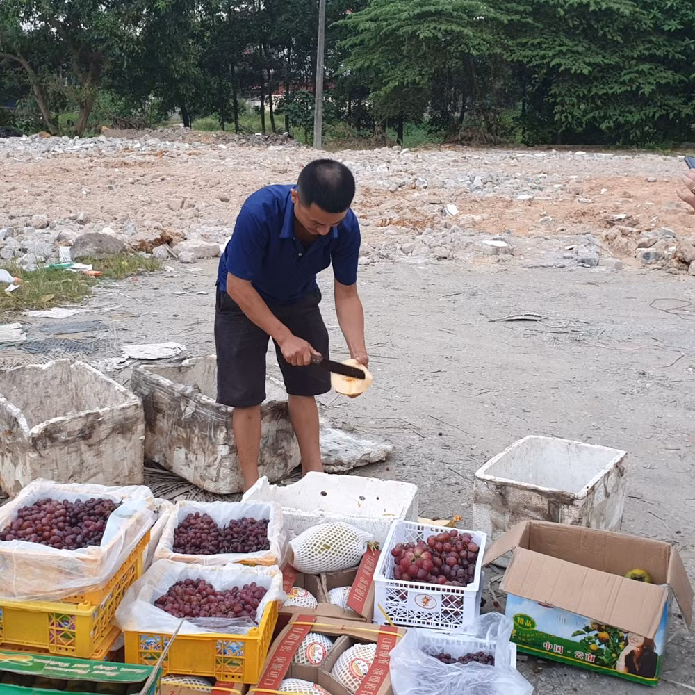 thai nguyen tieu huy 2 tan trai cay khong ro nguon goc xuat xu hinh 3