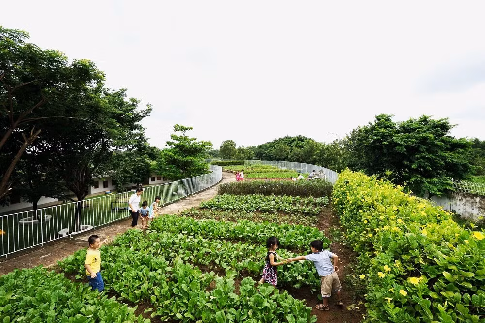 loi canh tinh cua dong song tu than va tiem nang kinh te nghin ty usd hinh 4
