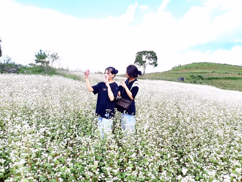 kham pha rung hoa tam giac mach o thao nguyen suoi thau hinh 4