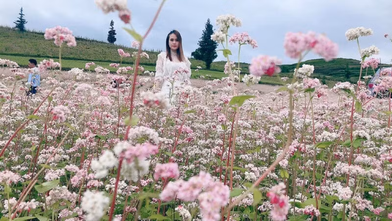 kham pha rung hoa tam giac mach o thao nguyen suoi thau hinh 2