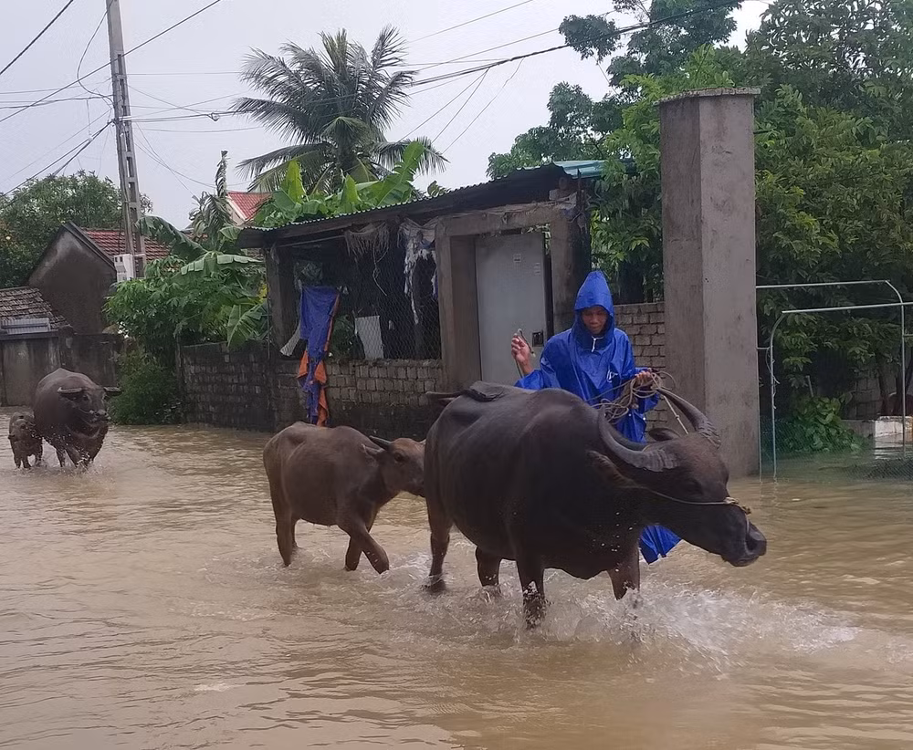 mua trang troi nhieu noi o nghe an bi ngap sau hinh 1
