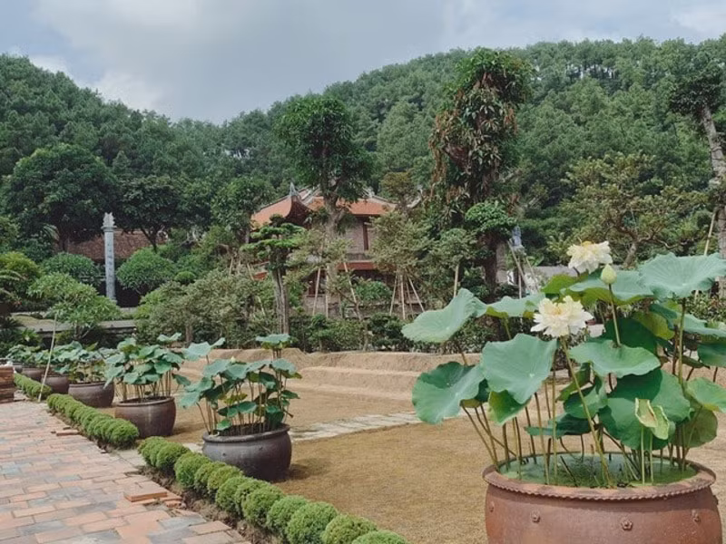 kham pha ngoi chua nghin tuoi o ha nam hinh 3