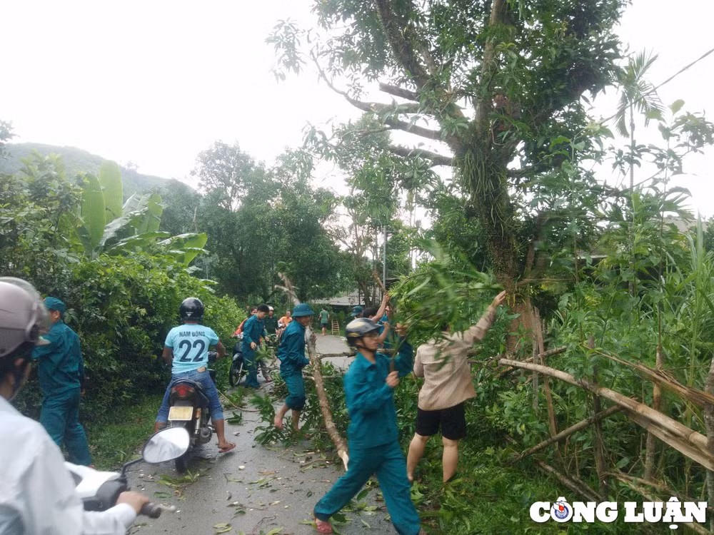 thua thien hue huy dong 3000 can bo chien sy giup dan khac phuc hau qua bao so 4 hinh 6
