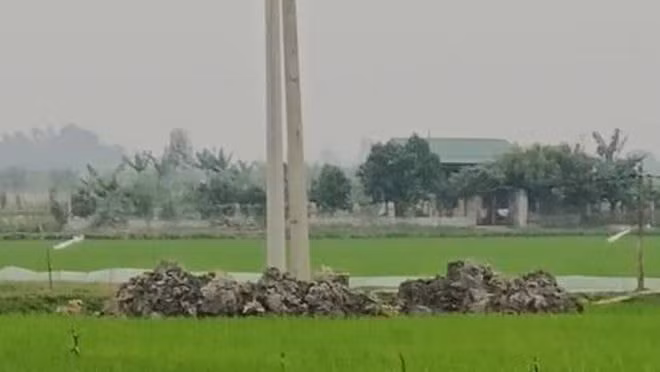 Khu vực xảy ra vụ việc đau lòng nằm giữa cánh đồng, vắng người qua lại. Ảnh: thanhnien.vn
