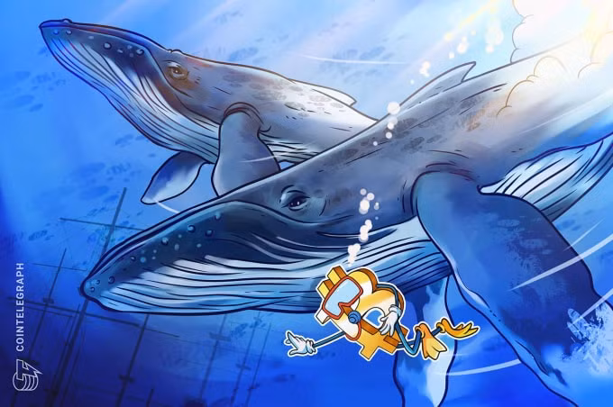 'Cá voi' đang gom mạnh Bitcoin dưới 50.000 USD. Ảnh: Cointelegraph