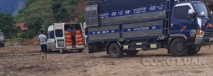 Nhiều tấn măng được thu gom về để sang xe chở đi nơi khác tại xã Yên Nhân, huyện Thường Xuân.