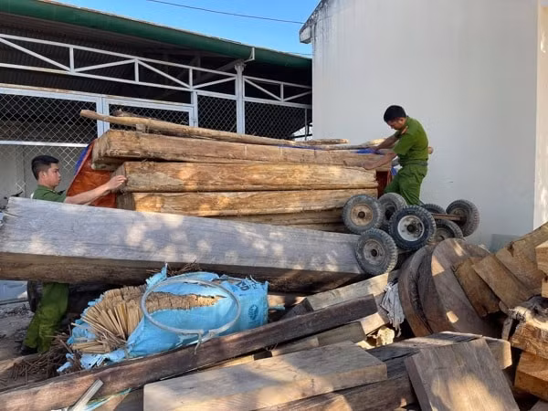 Cơ quan chức năng tỉnh Đắk Lắk kiểm tra, làm rõ một vụ khai thác gỗ trái phép trên địa bàn huyện Krông Bông