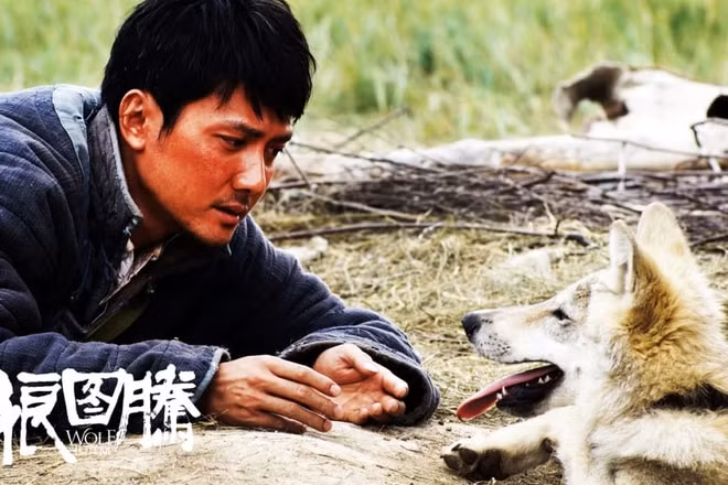 Tôtem sói - Wolf Totem