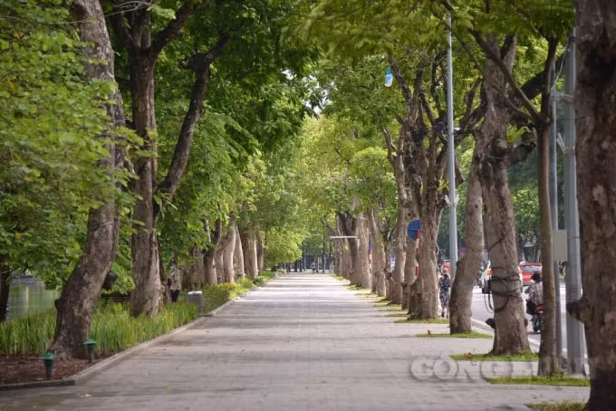 Những tuyến đường rợp bóng cây xanh đã vắng bóng người tập thể dục