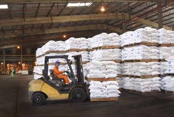 Giá phân bón sản xuất trong nước có tăng nhưng vẫn thấp hơn so với thế giới. Trên thị trường nội địa, các loại phân bón trong nước đang có giá thấp hơn giá phân nhập khẩu khoảng 1-2 triệu đồng/tấn.