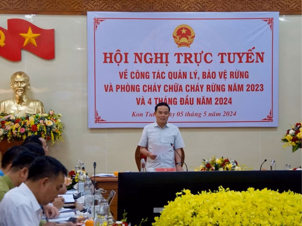 ninh binh co 24711 ha dien tich rung de chay hinh 1