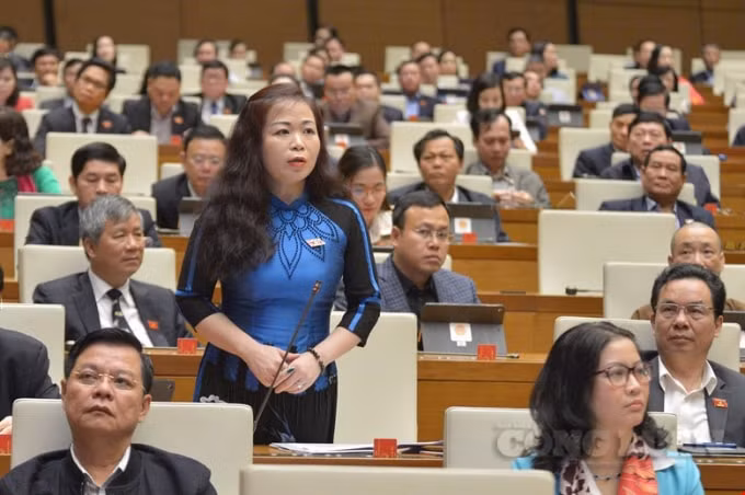 ĐBQH Vũ Thị Lưu Mai (đoàn Hà Nội) phát biểu tại nghị trường Quốc hội.