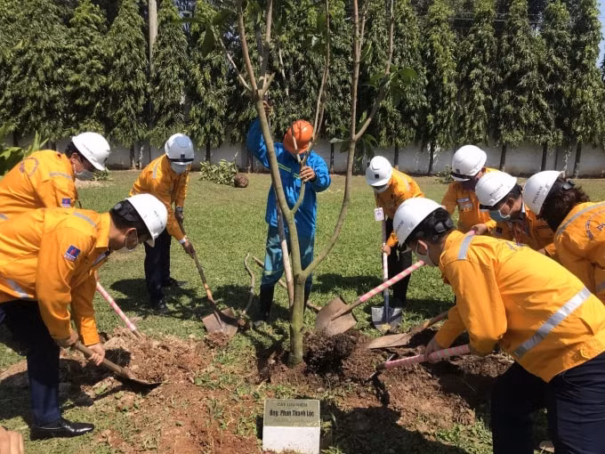 Tổ chức trồng cây làm xanh công trình, bảo vệ cảnh quan môi trường.