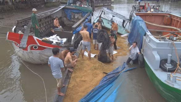 Chủ ghe đang tiến hành trục vớt lúa, ước tính khoảng 50 tấn lúa bị chìm. Ảnh: tuoitre.vn