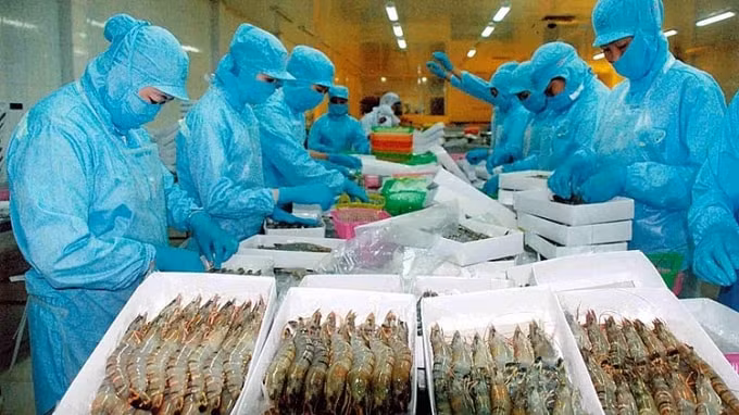 Việt Nam là thị trường cung cấp thủy sản thứ 4 và uy tín cho Nhật Bản. Ảnh: H.N