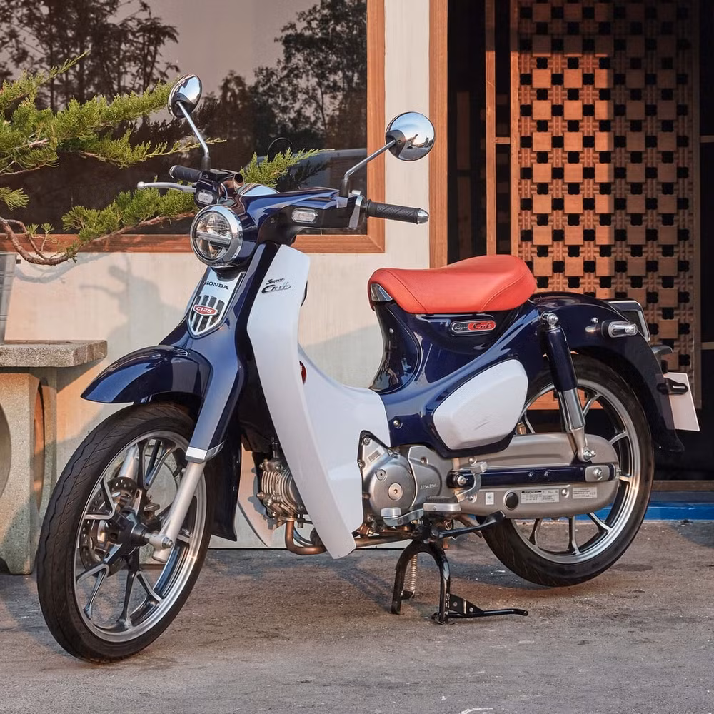 Honda Cub C125 2021. Ảnh: Motortrivia