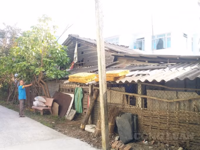 Mảnh đất của ông Tâm bị ông Thường mượn rồi chiếm làm nhà.