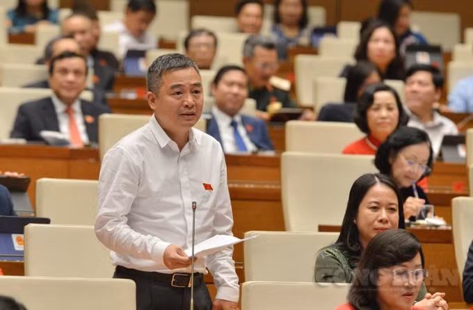 Đại biểu Nguyễn Lân Hiếu, đoàn An Giang.