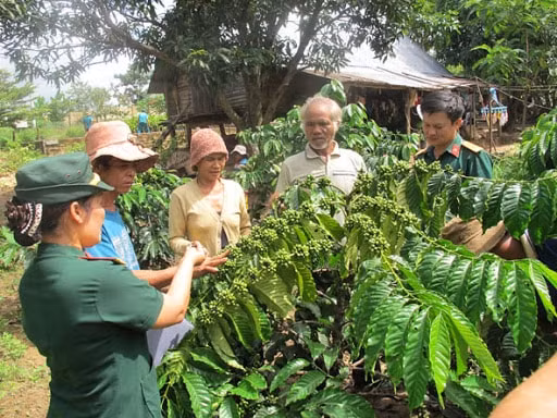 Khu kinh tế - quốc phòng sẽ từng bước cải thiện nâng cao đời sống vật chất, tinh thần của nhân dân.