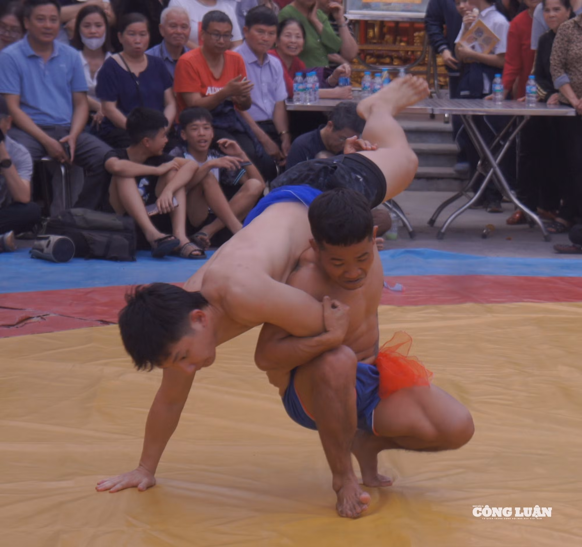 dsc07700.jpg