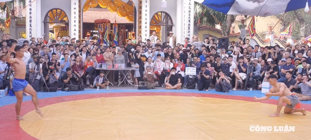 dsc07569.jpg