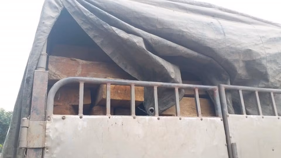 Trên xe chở số lượng nghi vấn gỗ lậu. Ảnh PV