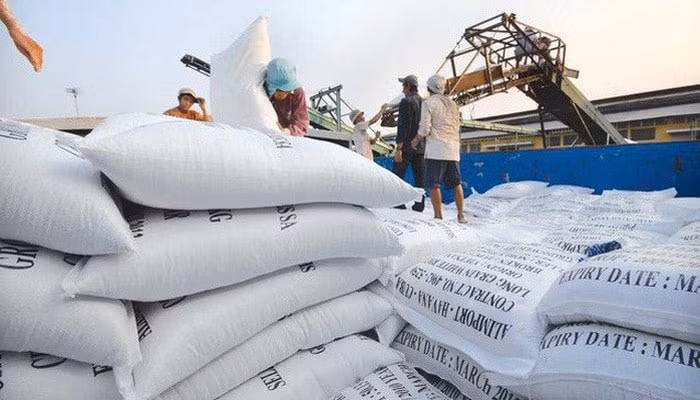 Gạo Việt Nam đã xuất khẩu tới khoảng 150 quốc gia và vùng lãnh thổ (Ảnh minh họa)