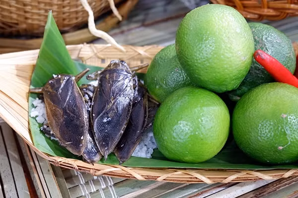 Cà cuống đã trở nên hiếm trong ẩm thực hàng ngày, nhưng vẫn xuất hiện tại đây