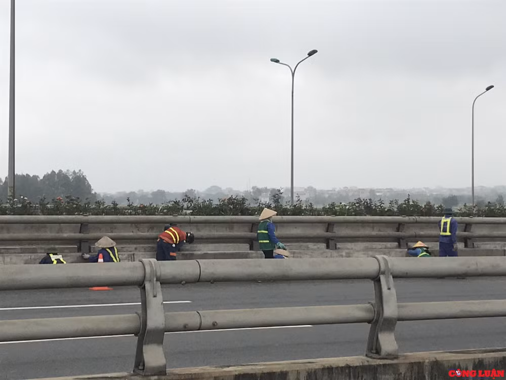Tuyến đường từ sân bay Nội Bài tới trung tâm Thủ đô Hà Nội được quét dọn sạch sẽ và trang trí thêm hoa tại giải phân cách