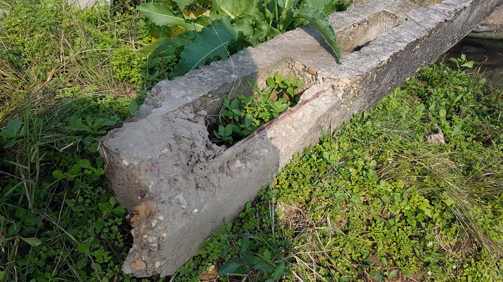 Ông Tuyển thoát chết trong gang tấc khi bị cột điện nằm trên đất bị nhiễm mặn, nhiễm phèn đã mục chân gãy đè lên người hôm trước Tết Nguyên đán