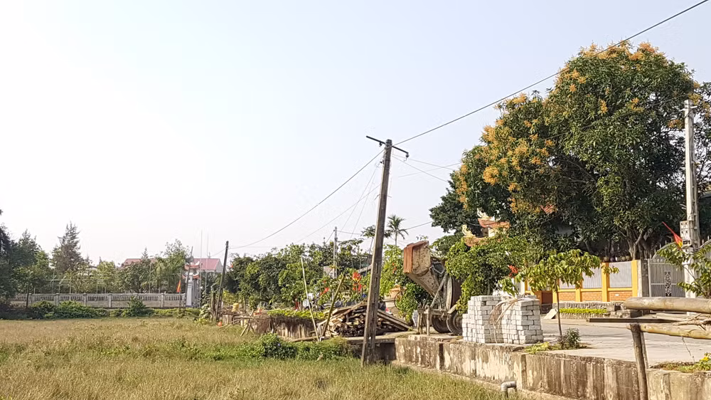 Những dãy cột điện chậm di dời như những “chiếc bẫy” đang chờ chực, đe doạ tính mạng của người dân…