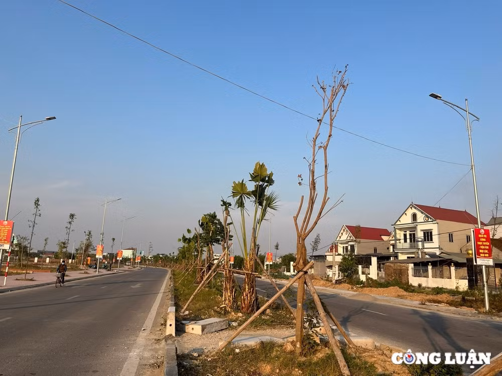 hang cay tien ty xac xo tren duong truc bac nam huyen hiep hoa tinh bac giang hinh 1
