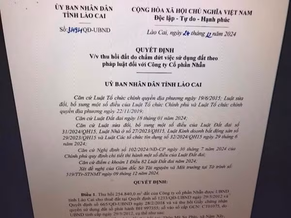 thu hoi tren 25 ha dat cua mot doanh nghiep tu nhan khai thac vang o lao cai hinh 1