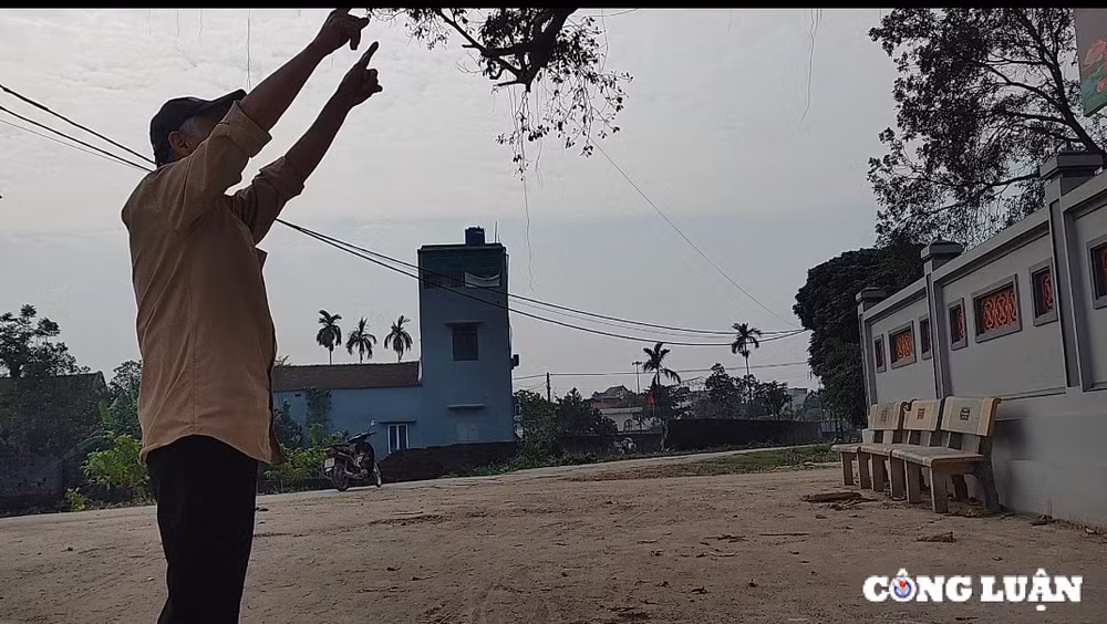 huyen my duc tp ha noi vi sao phan cong dinh tao khe khong duoc tu bo hinh 3