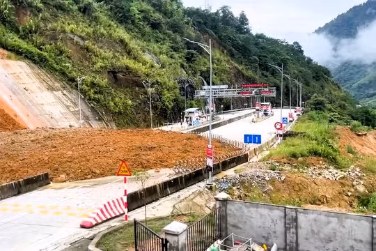 Lào Cai: Mưa lớn gây thiệt hại hơn 680 triệu đồng, một người mất liên lạc do sạt lở