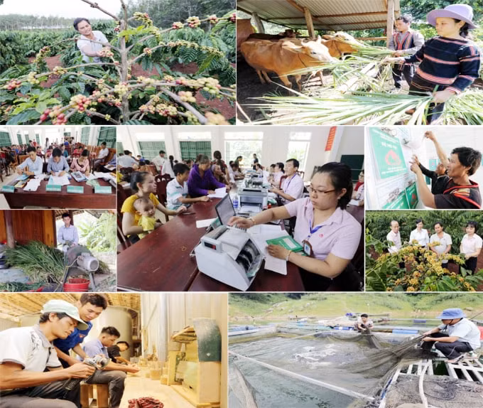 Trong suốt hành trình gần 20 năm qua, nguồn vốn ưu đãi của Chính phủ được NHCSXH thực hiện đã giúp hàng triệu hộ nghèo trong cả nước có vốn phát triển kinh tế, xây dựng cuộc sống ấm no hạnh phúc.