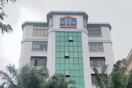 Con gái chủ tịch DIC Corp (DIG) đăng ký mua 20 triệu cổ phiếu nhưng chỉ mua được 23% do không đủ tiền